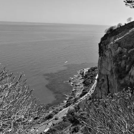 Sognando Il Mare *